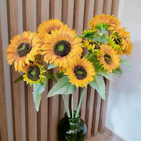 Apartahotel Anassa Deluxe & 3*