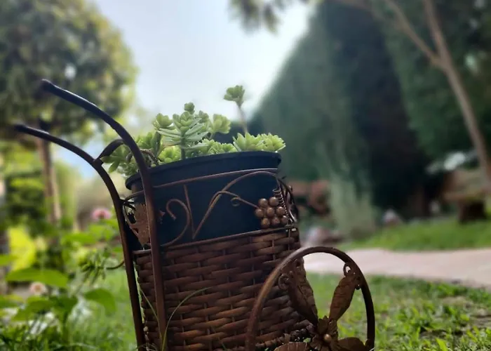 מלון דירות Anassa Deluxe & 3*