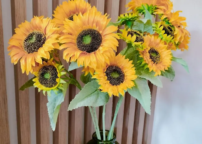 מלון דירות Anassa Deluxe & 3*