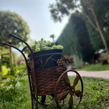 Aparthotel Anassa Deluxe & 3*