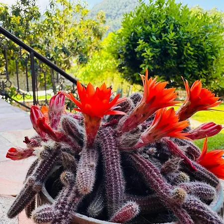 Anassa Deluxe & Aparthotel Skala Potamia (Thasos)